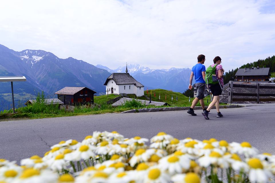 13754149_980194488745248_3616055789012504018_n