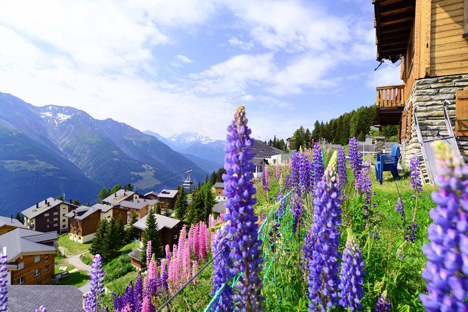 13775528_1290446630995852_7957812995217269751_n