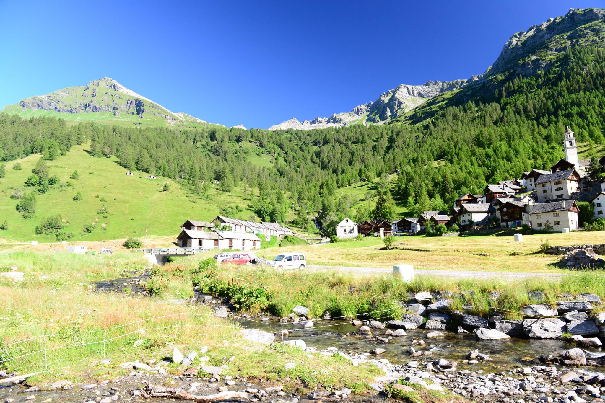 16113045_1727737370888587_6369973760717504565_o