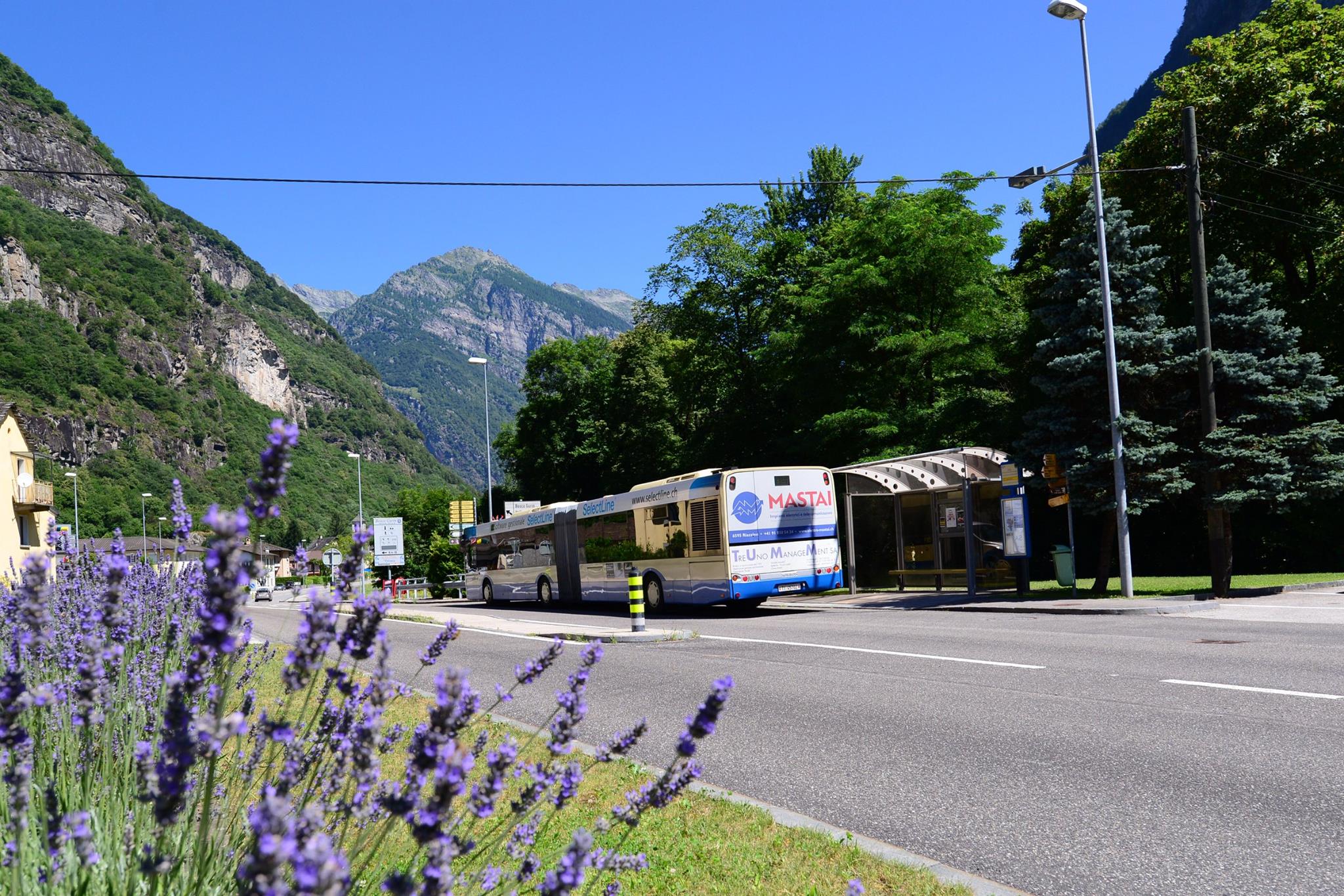 16113343_1727737710888553_5615802174520029566_o