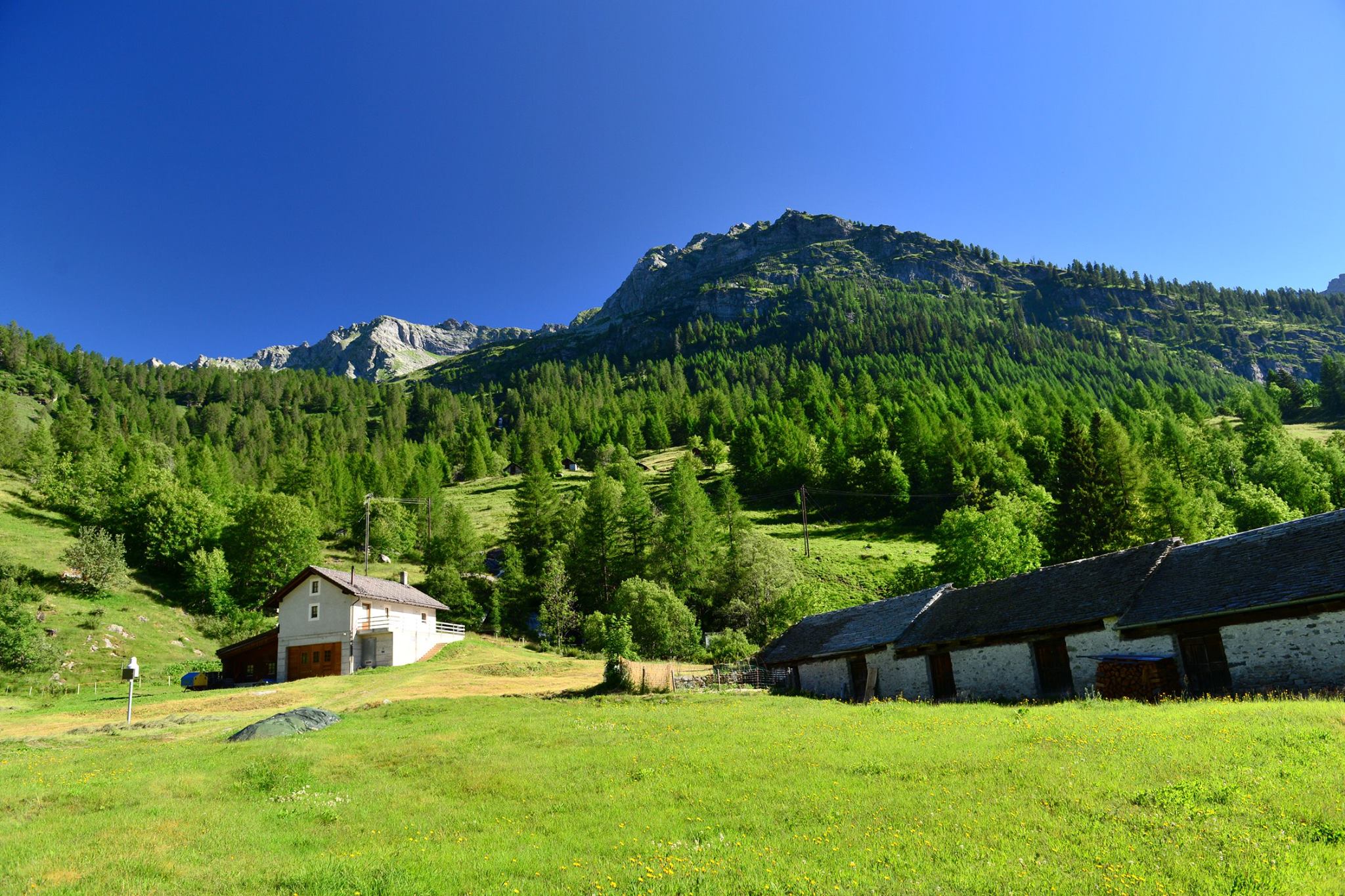 16143400_1727737790888545_7498374385495297551_o