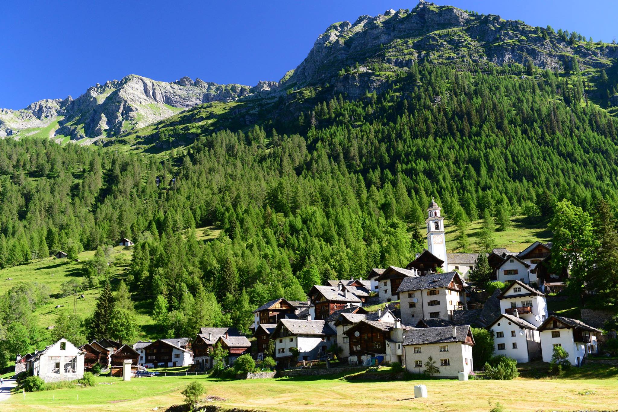 16143491_1727737347555256_4167649255518528145_o