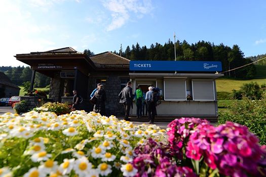 16174633_1727129130949411_1714398649989626501_n