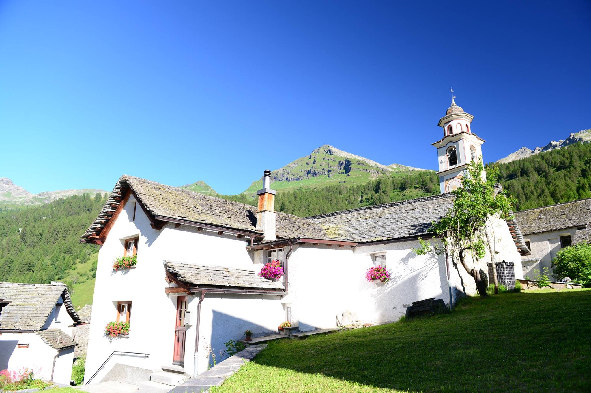 16177544_1727737260888598_2801788171747510383_o