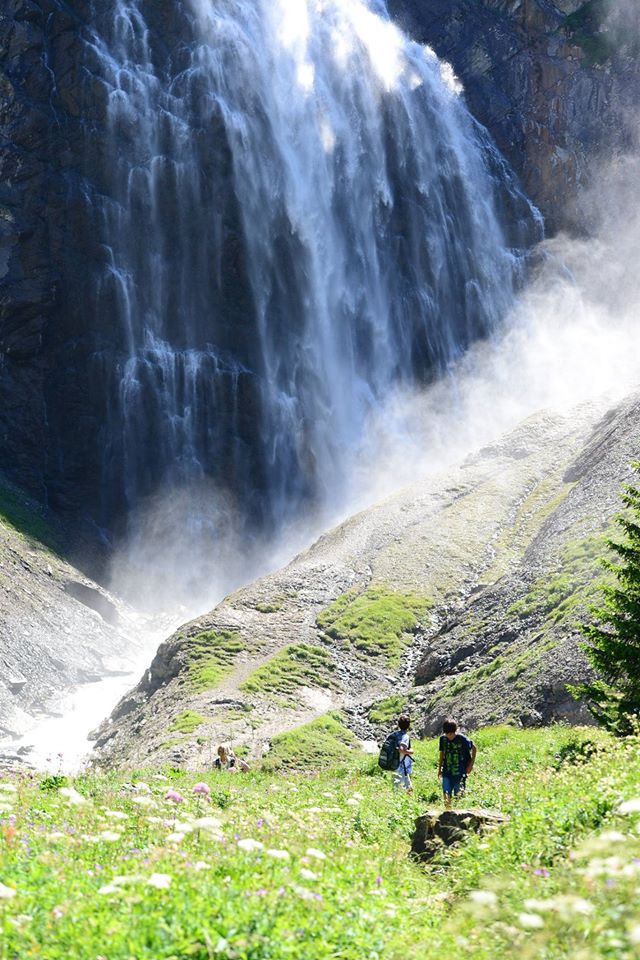 16177566_1729521524043505_3621817694097661617_o