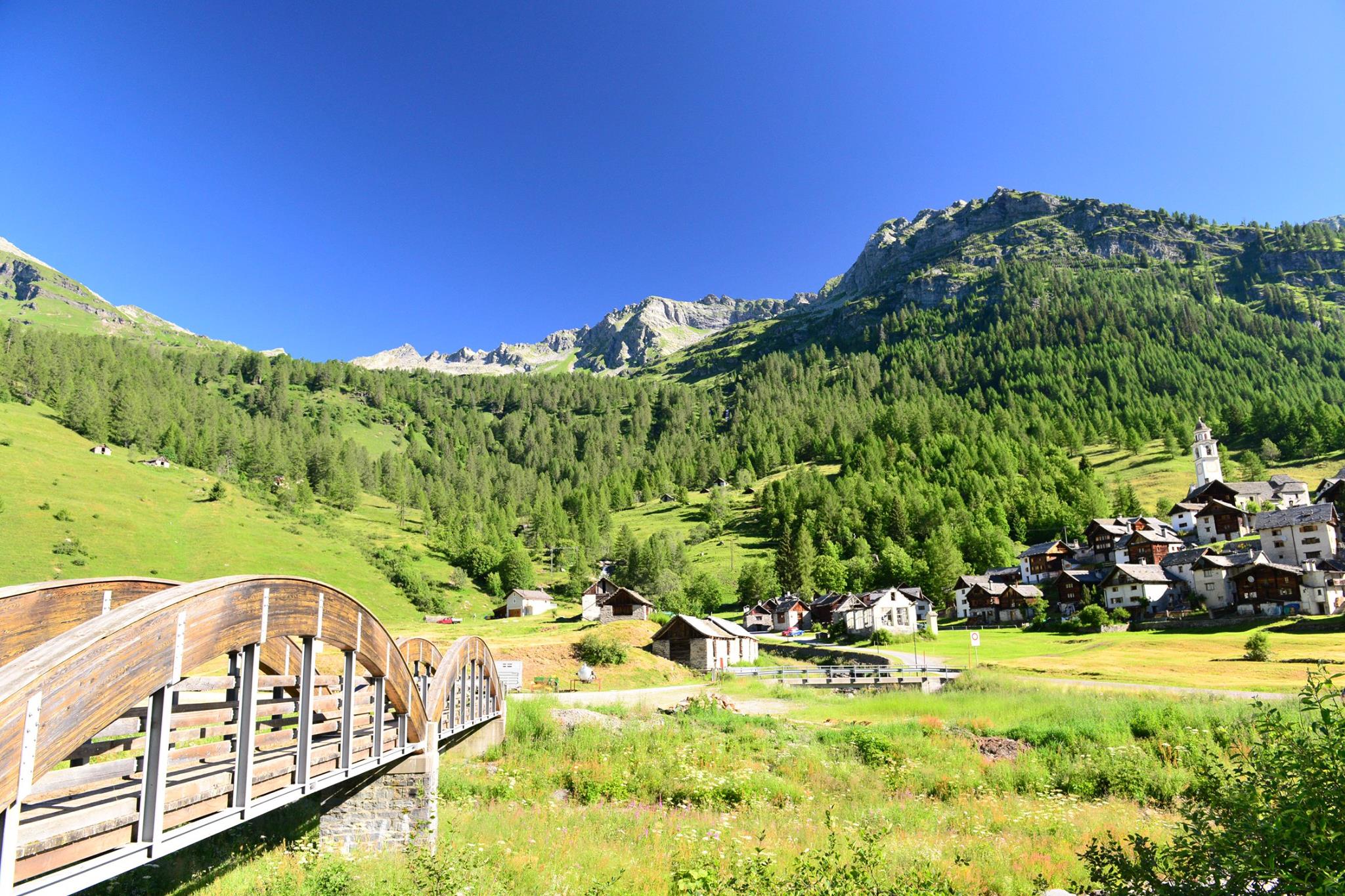 16177587_1727737630888561_6589682566288004558_o