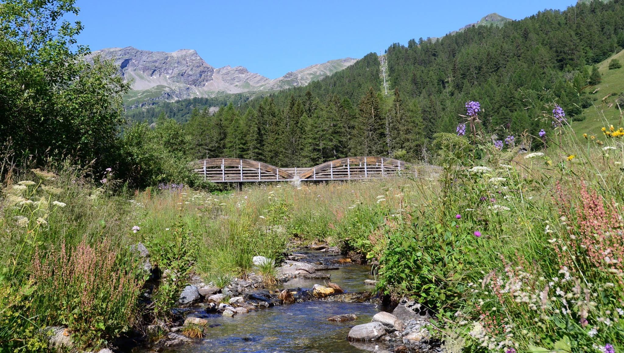 16177787_1727737777555213_1280316547668060395_o