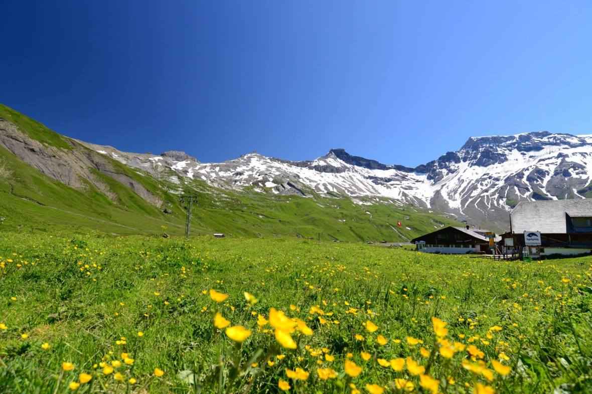 16177869_1729521687376822_2829779540185917208_o