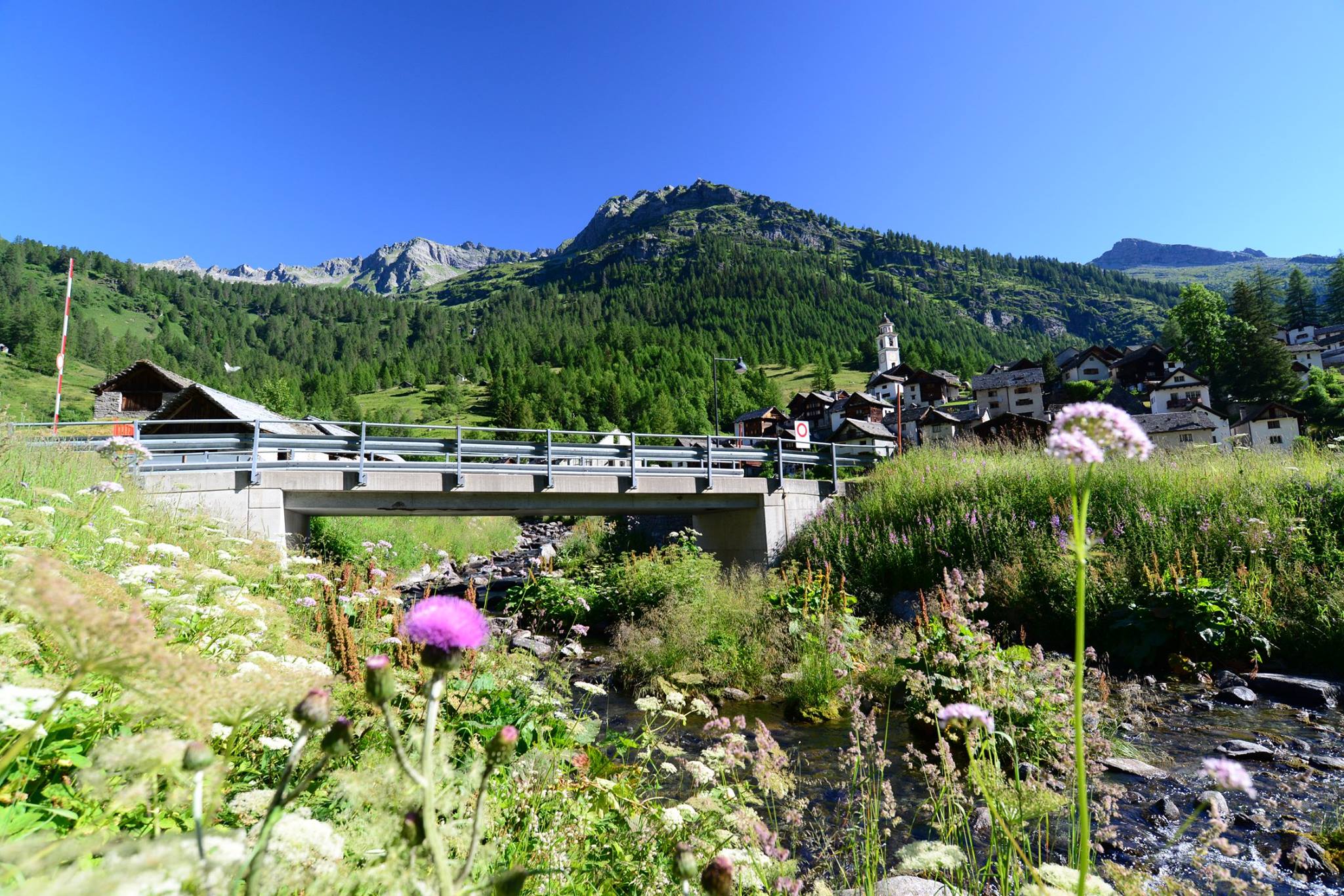 16178364_1727737374221920_1652532450619901450_o