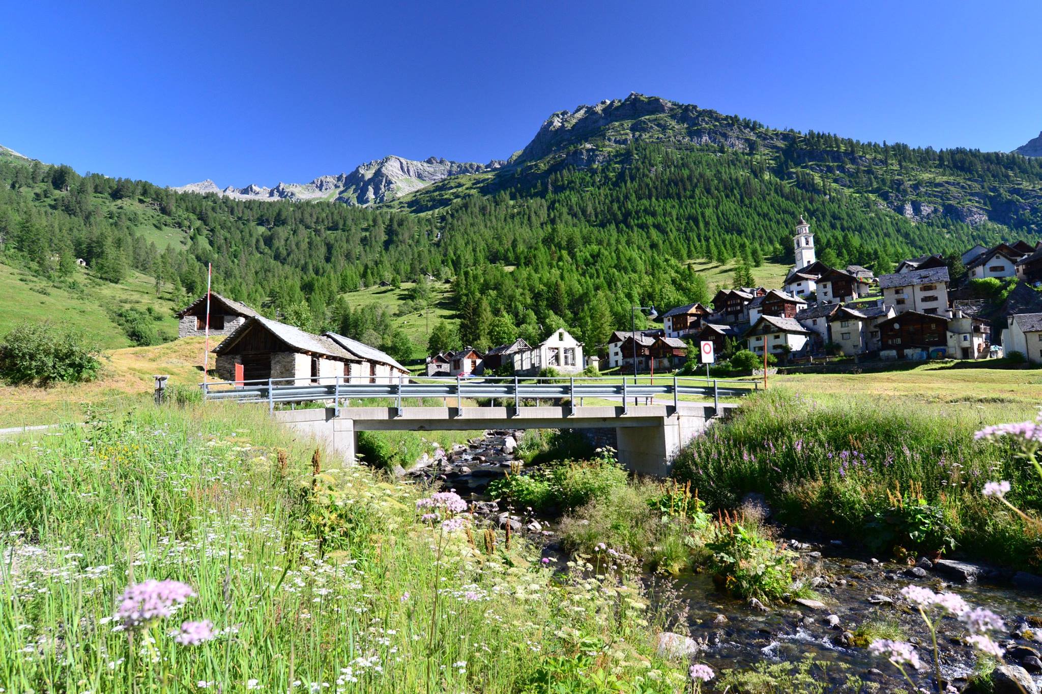 16178481_1727737397555251_7070658797617381878_o