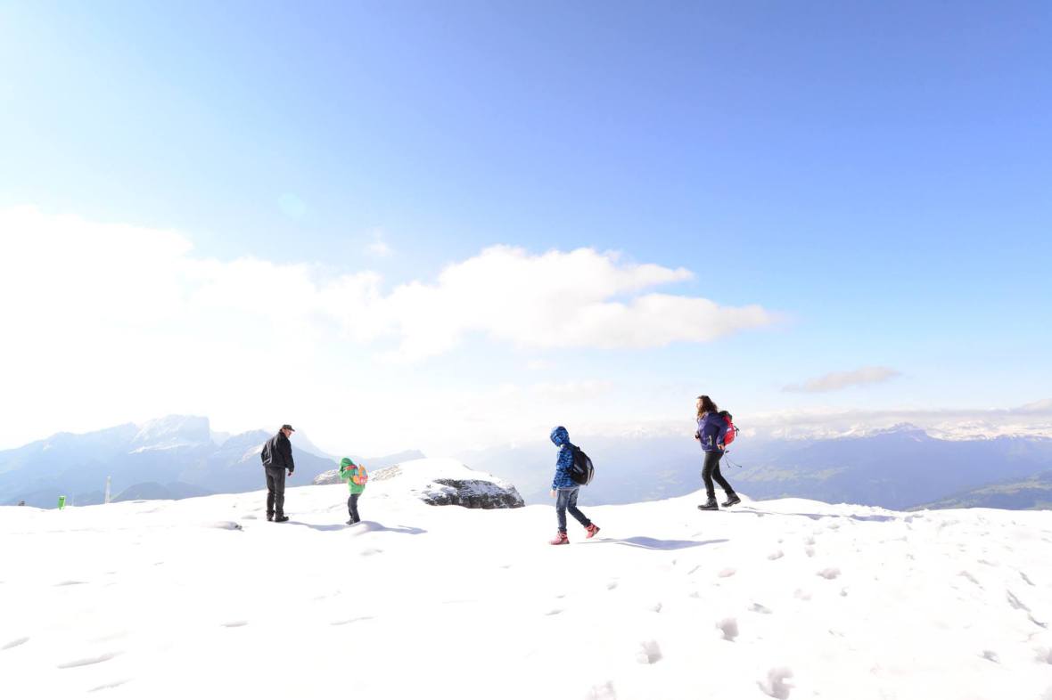 16178685_1727115430950781_9136546052730672550_o