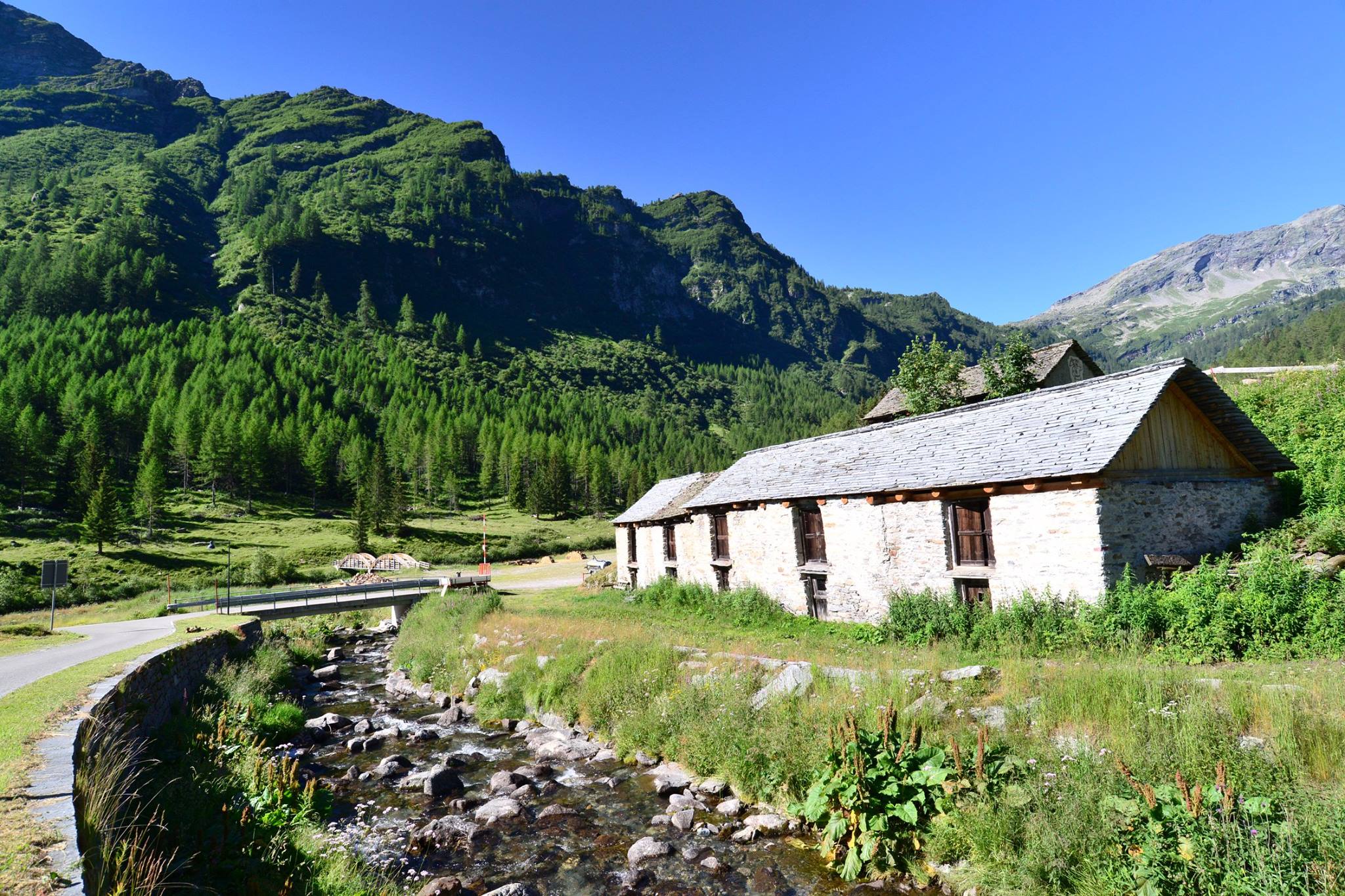 16178770_1727737580888566_7990921800806456904_o