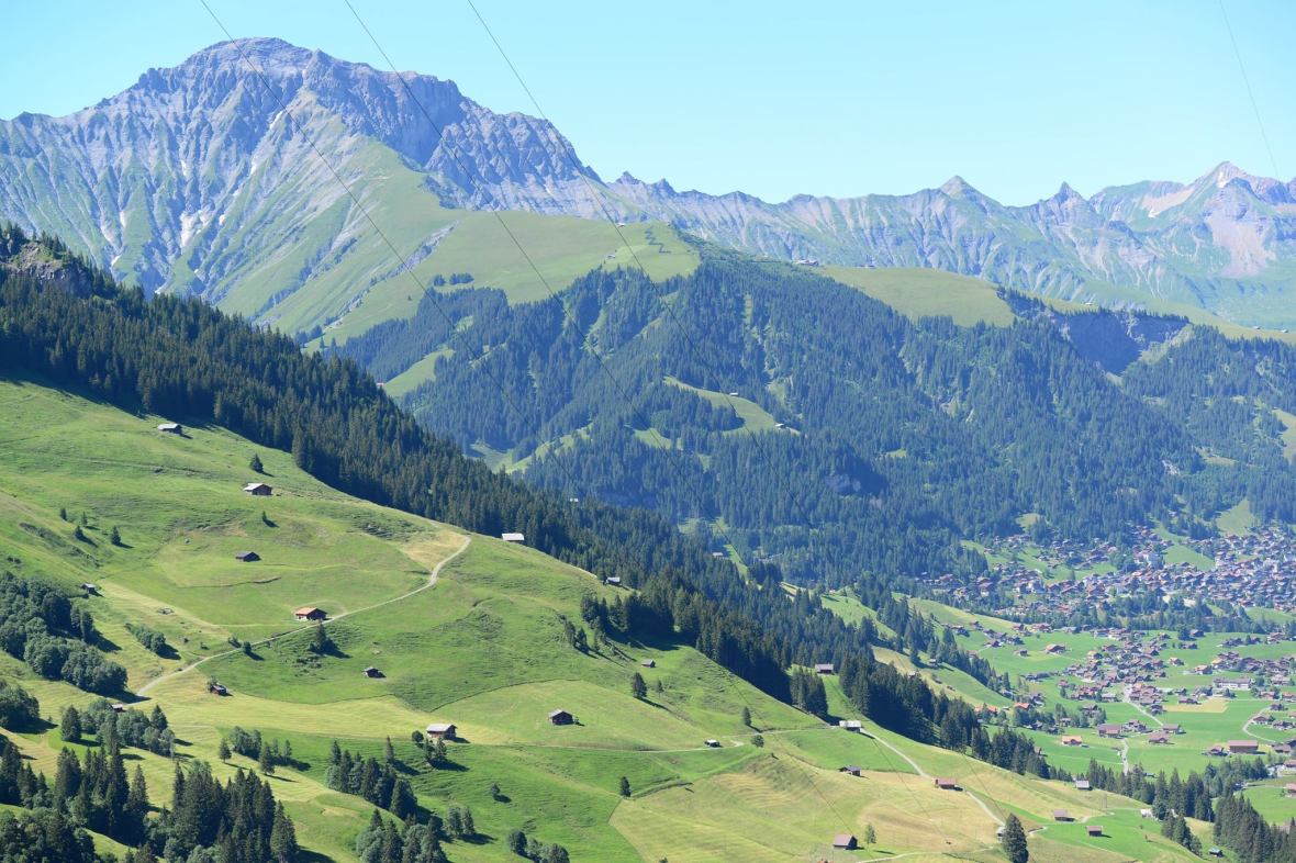 16178932_1729521507376840_4461418112280149980_o