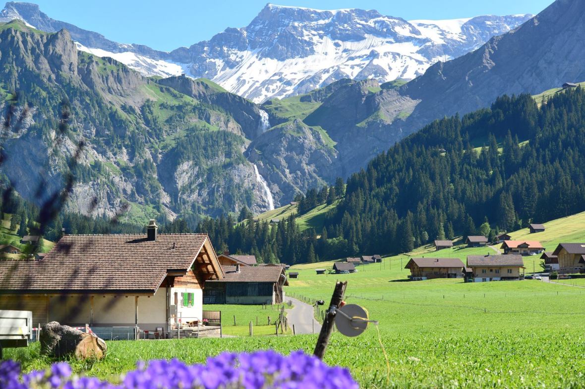 16179737_1729521320710192_5846009917973239018_o