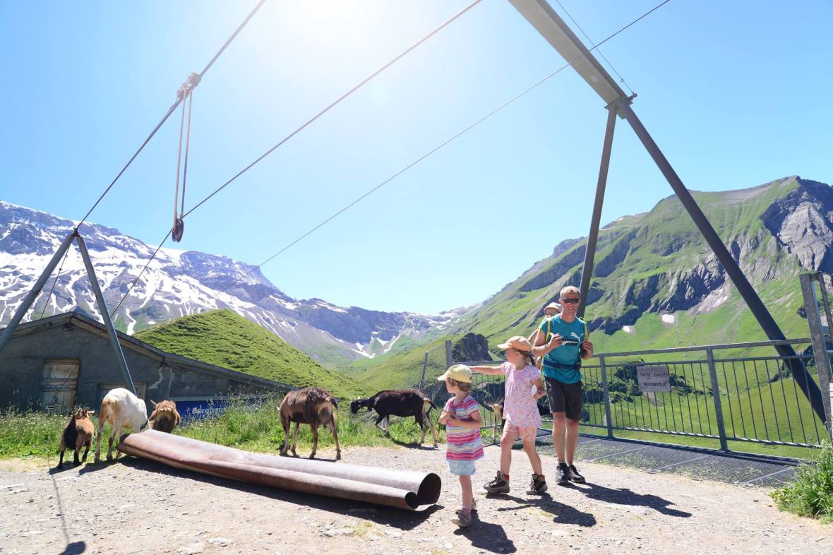 16251666_1729521724043485_4253538769539870289_o