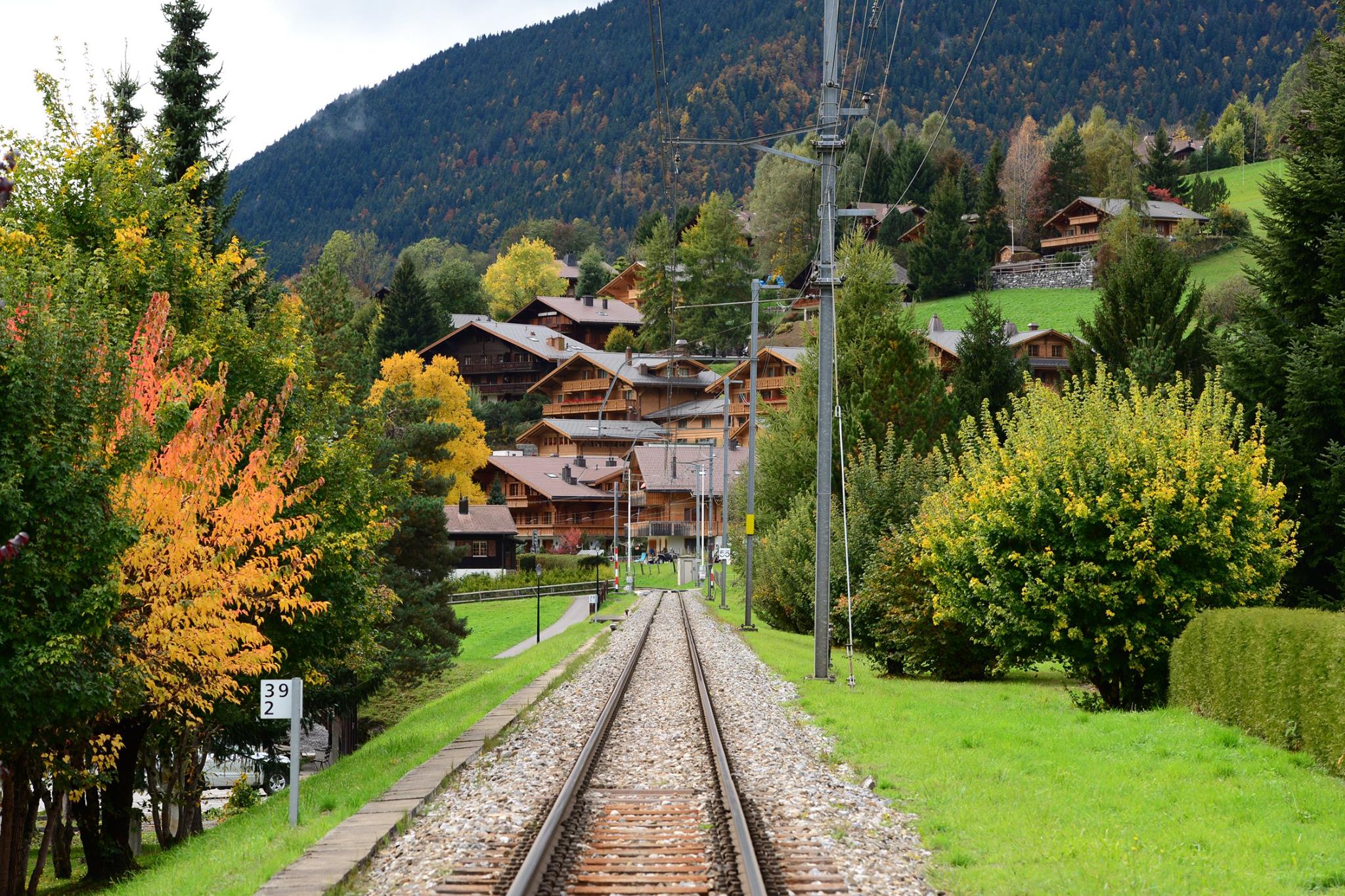 16252063_1730739370588387_3194700881821818124_o