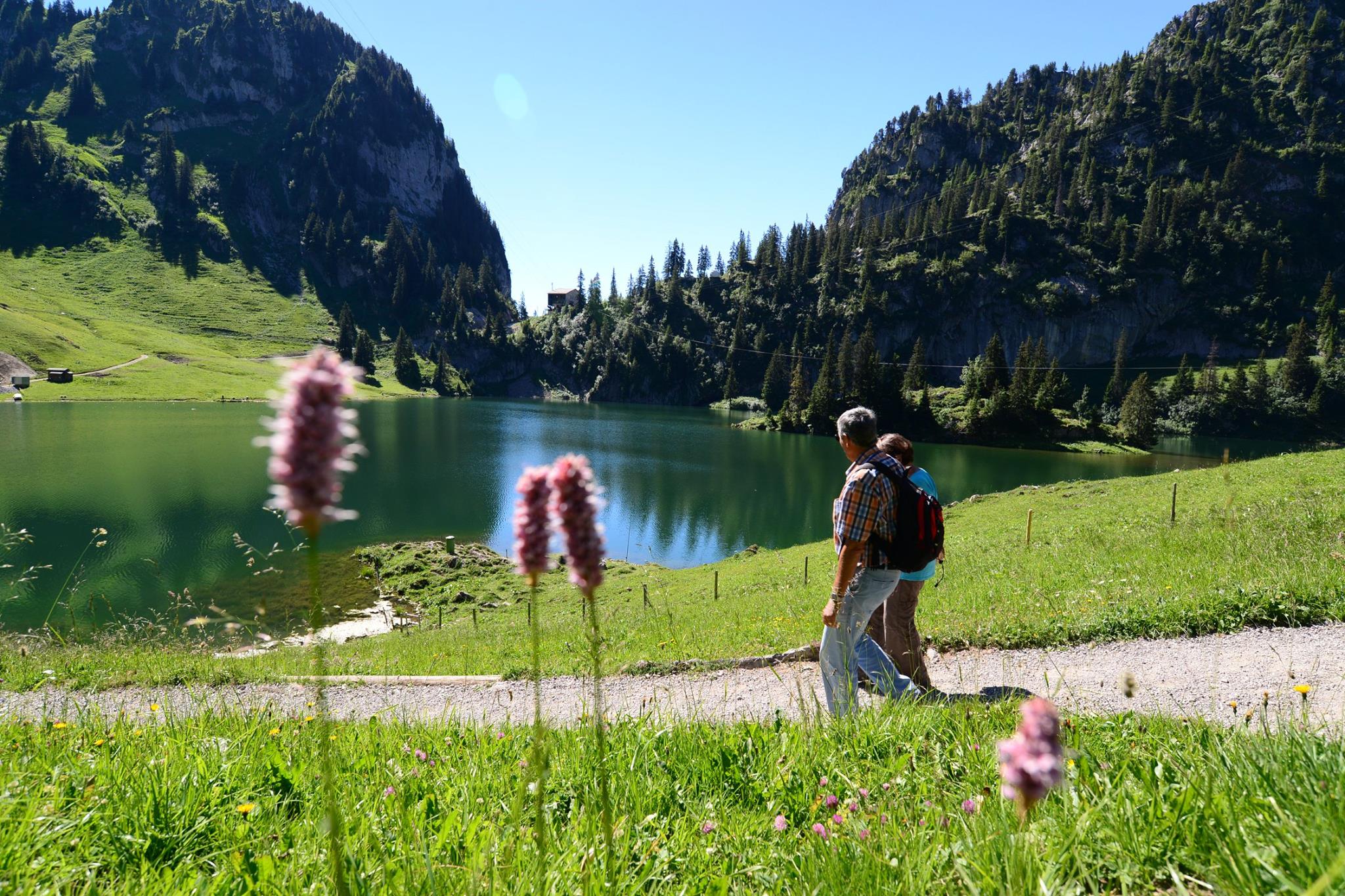 16252152_1729125787416412_1939507289700972321_o