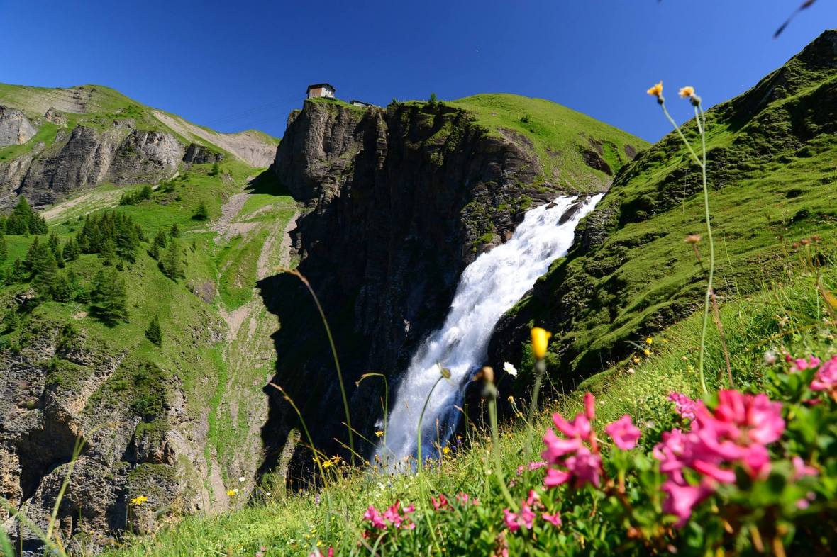 16252195_1729521417376849_4285095796803073839_o