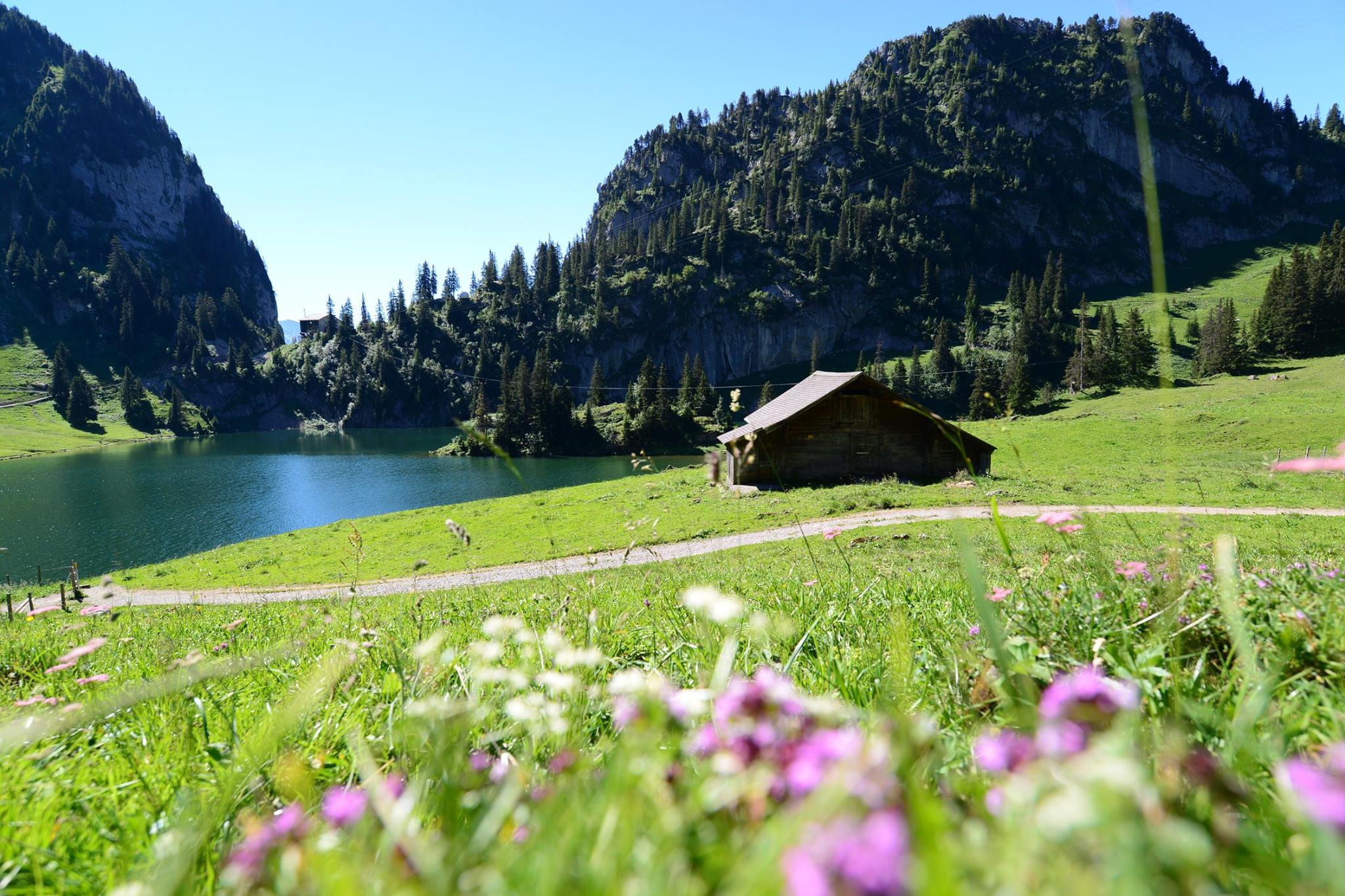 16252227_1729125630749761_4698027665088420950_o