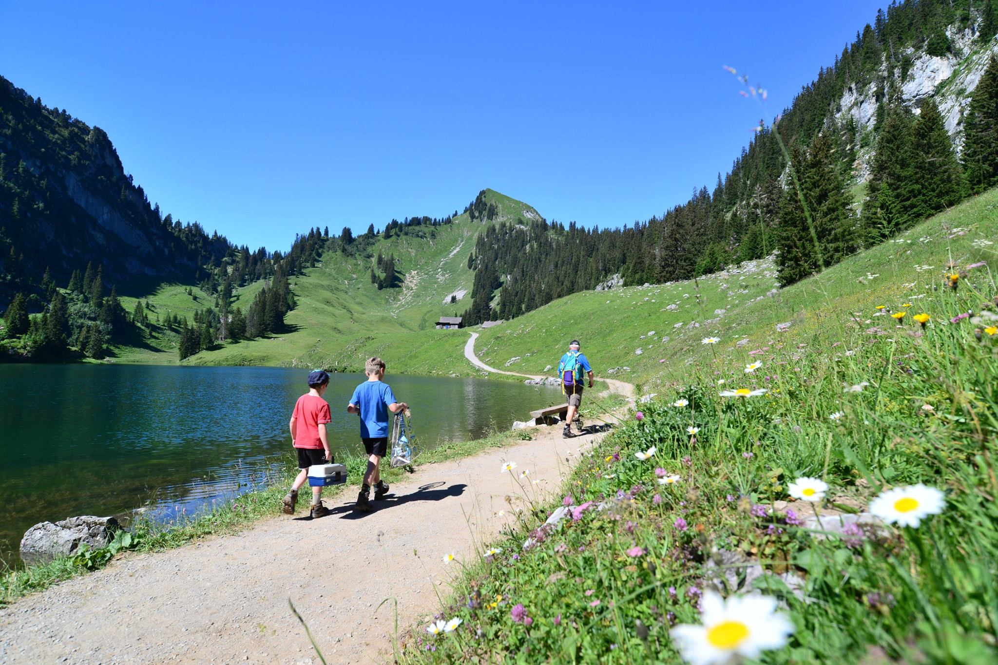 16252338_1729125847416406_6866170897724489729_o