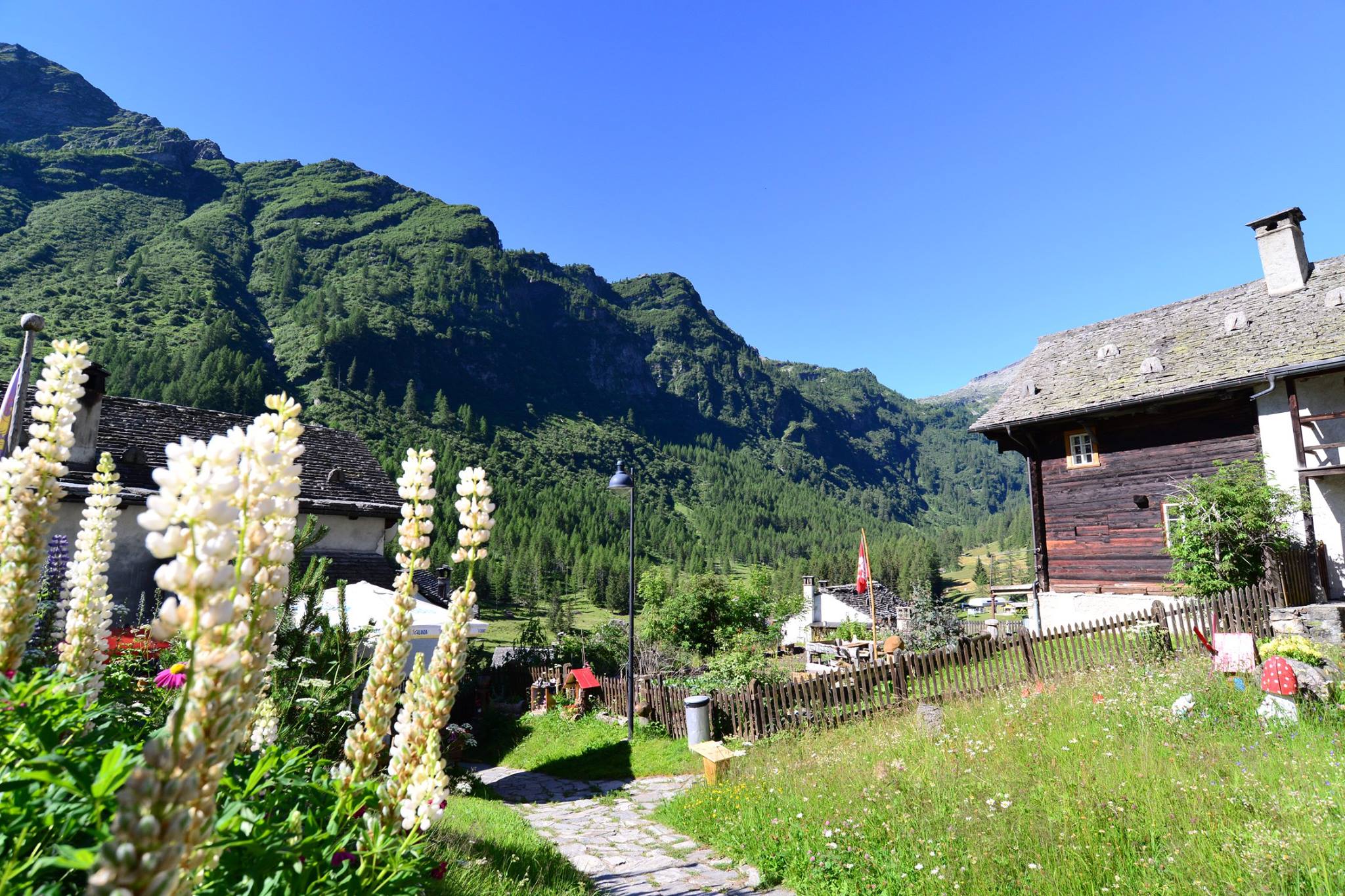 16252408_1727737750888549_3114860221122841010_o