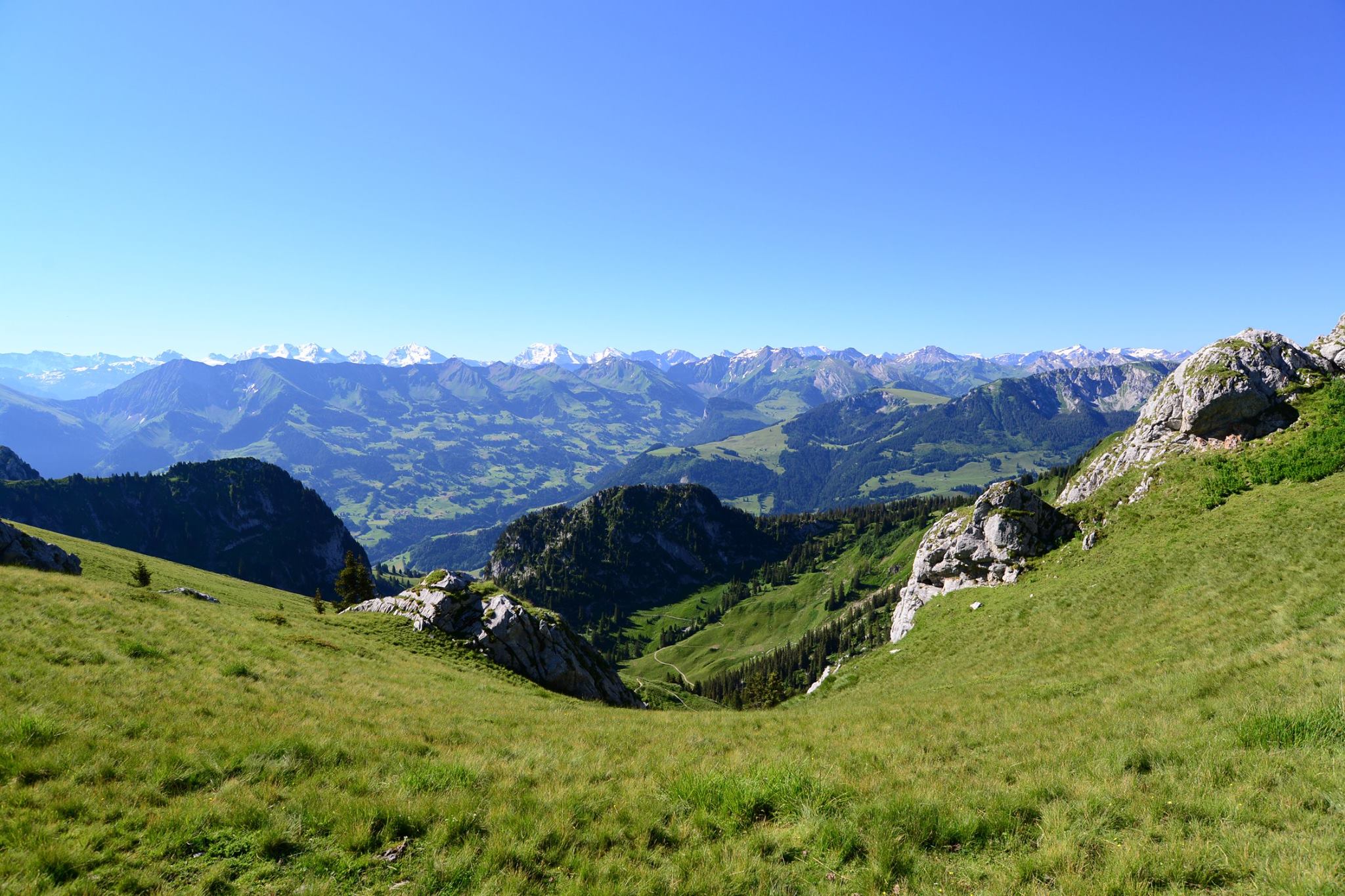 16252514_1729125547416436_3259026015312561852_o