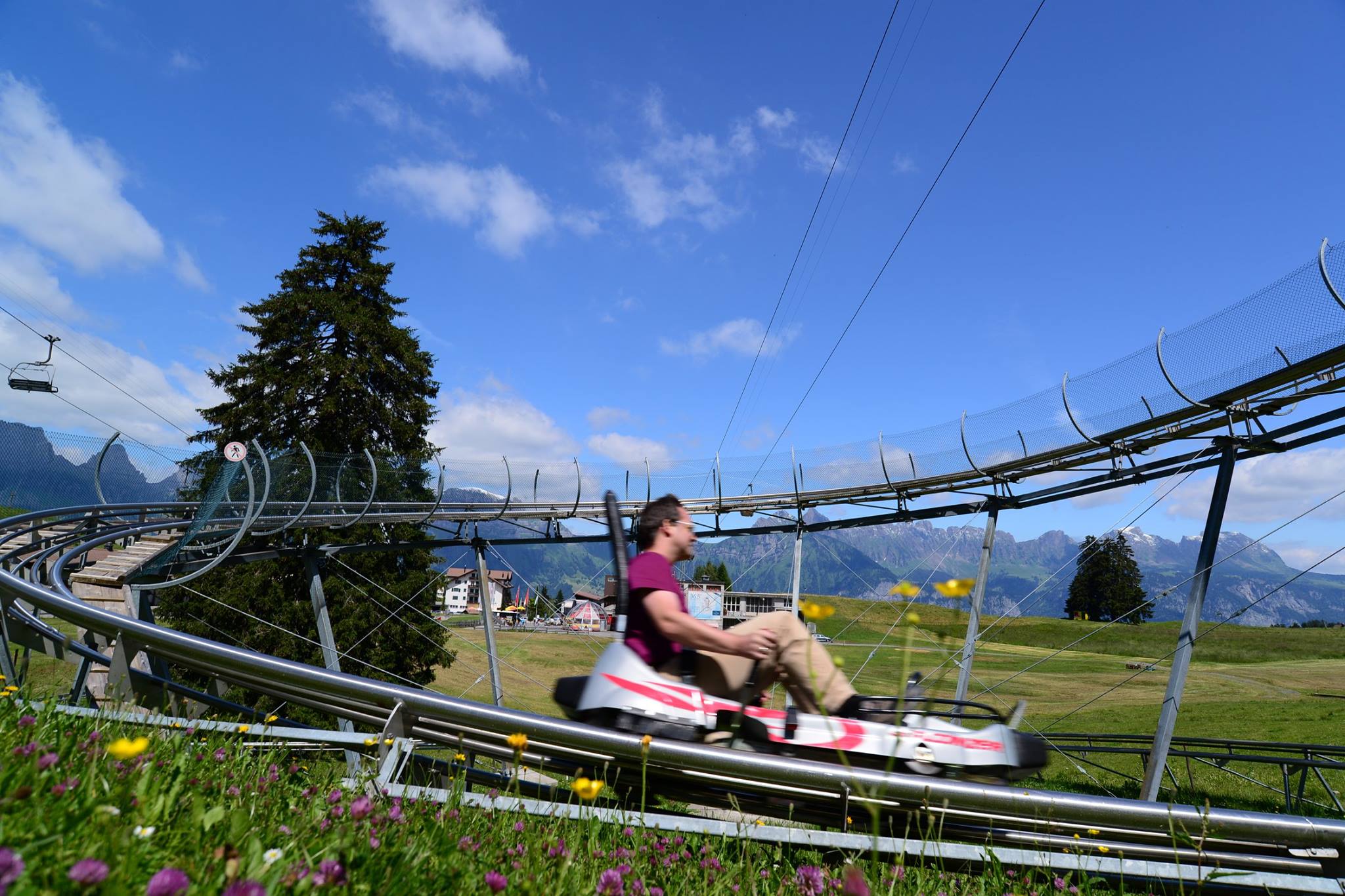 16299585_1731839883811669_1931425119915425149_o