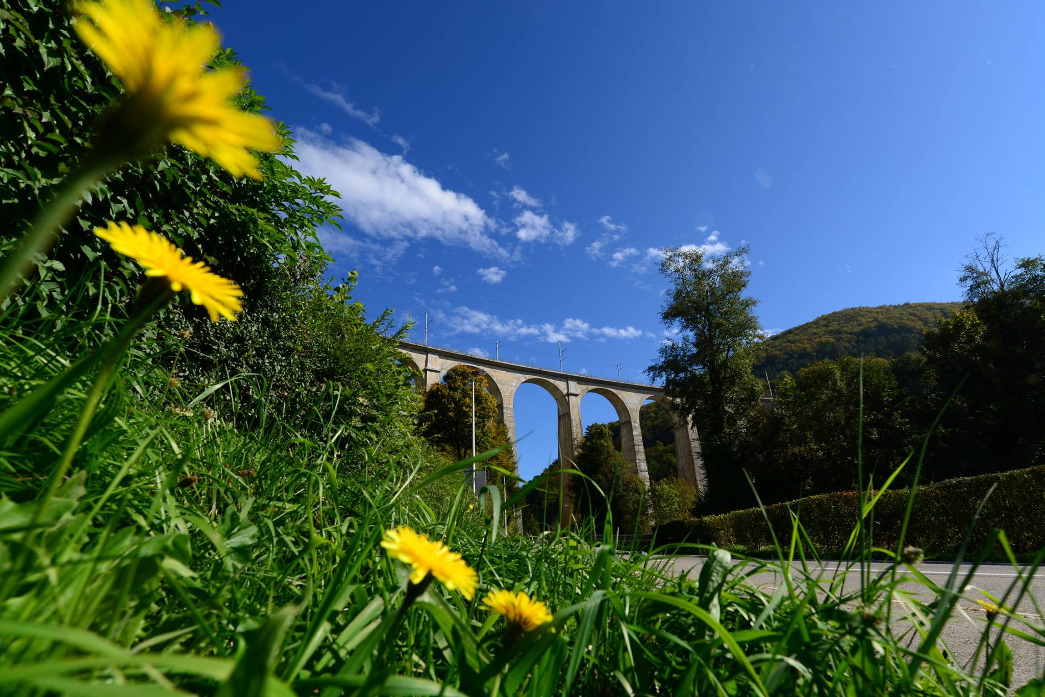 16299698_1728432267485764_7109022277155246911_o