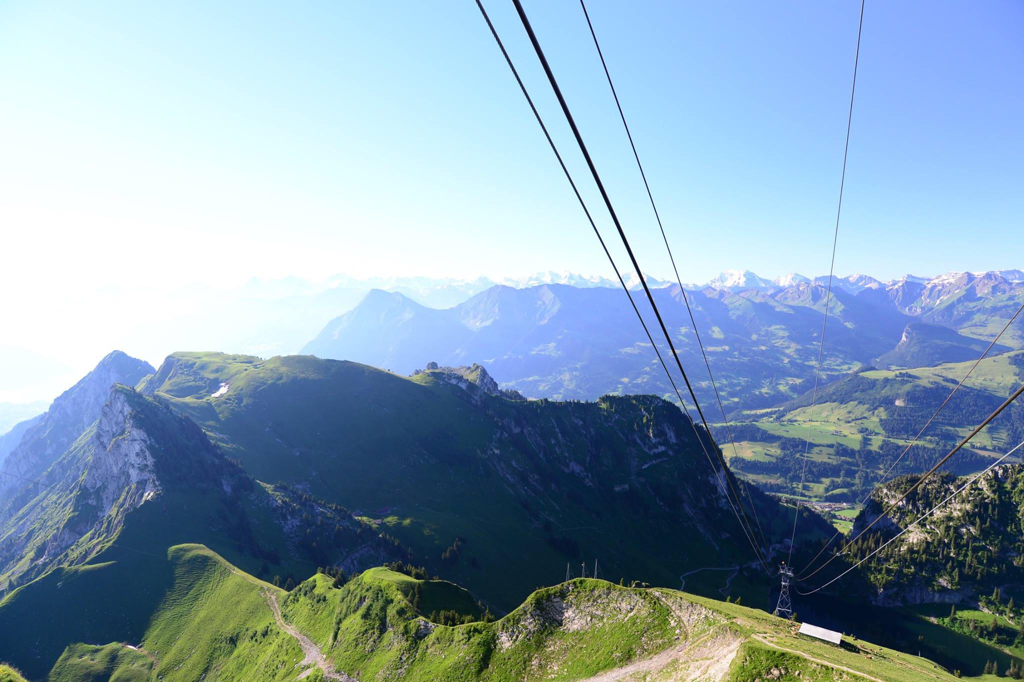 16299882_1729125297416461_5870961593635618151_o