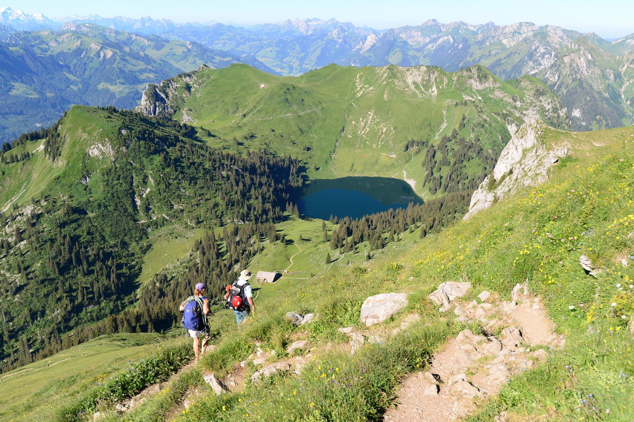 16299901_1729125480749776_1268581345939730312_o