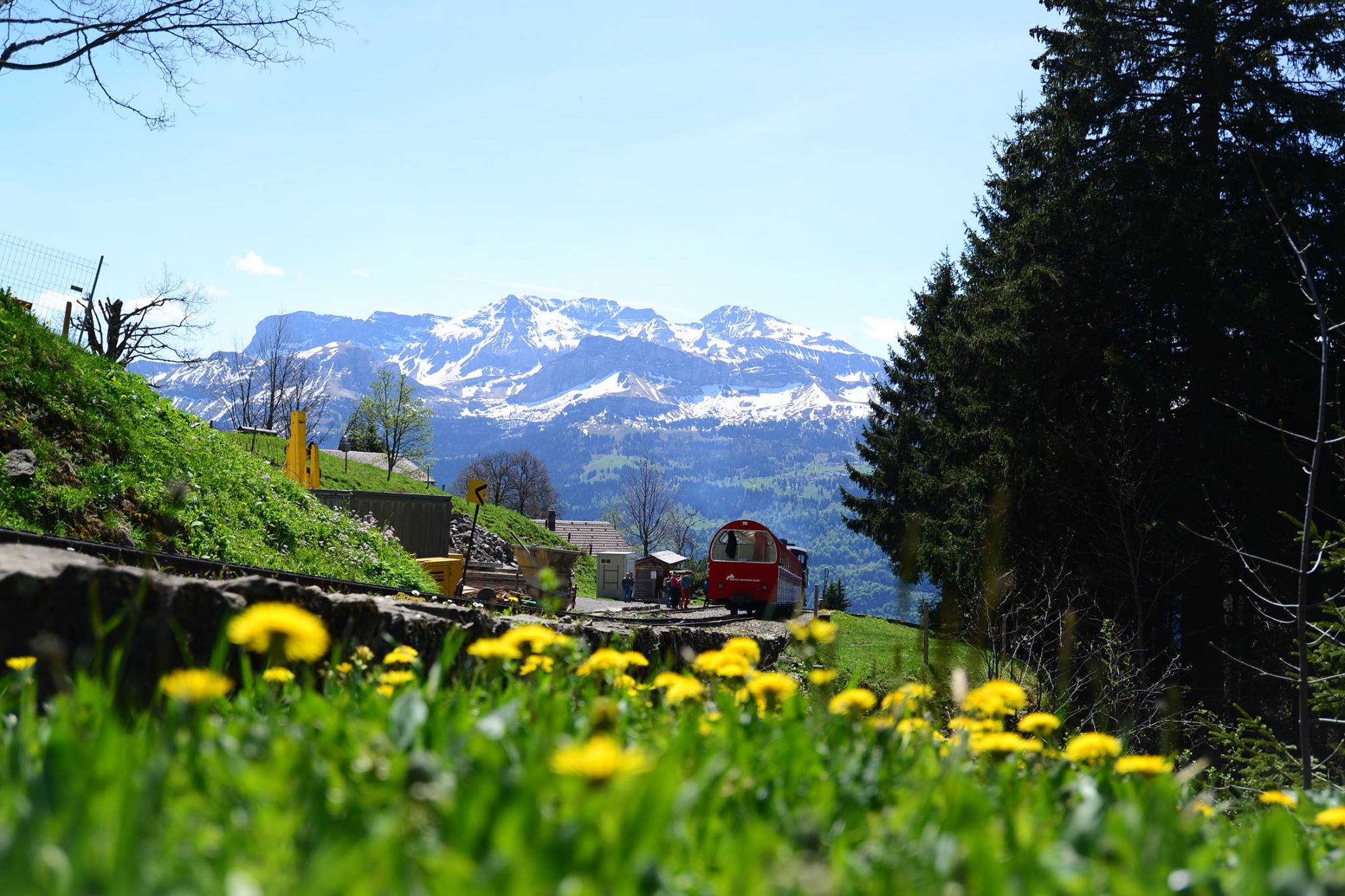 16299938_1730739773921680_1905799511064323369_o