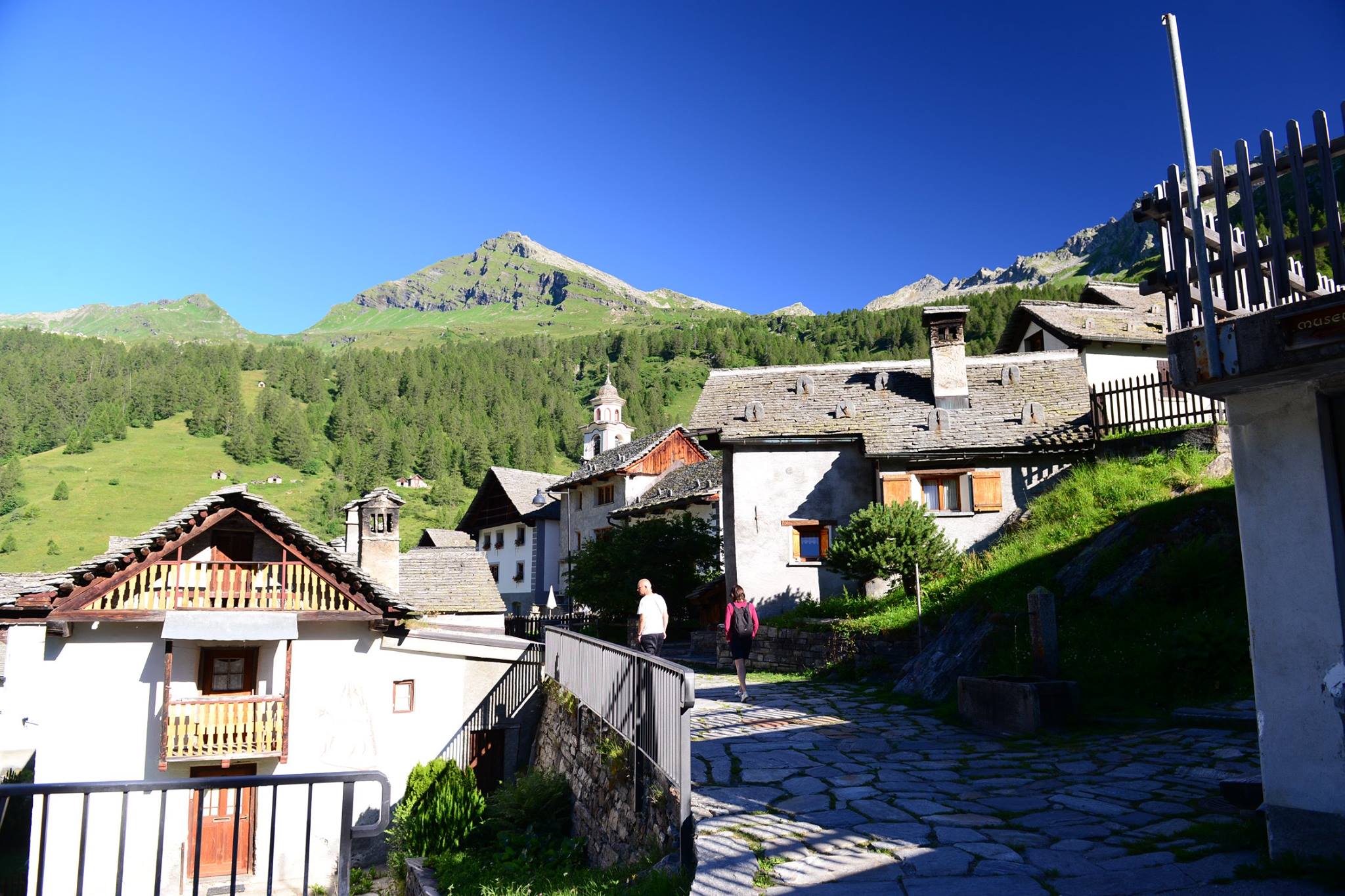 16299997_1727737250888599_5841560845277914489_o