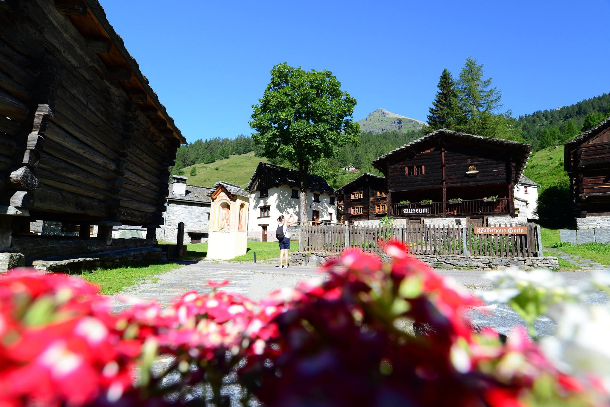 16300044_1727737380888586_4531700256195653814_o