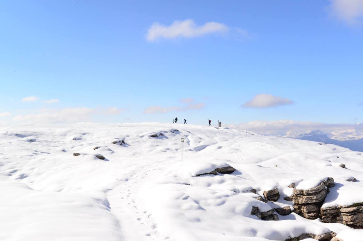 16300045_1727140230948301_2991798608552229931_o