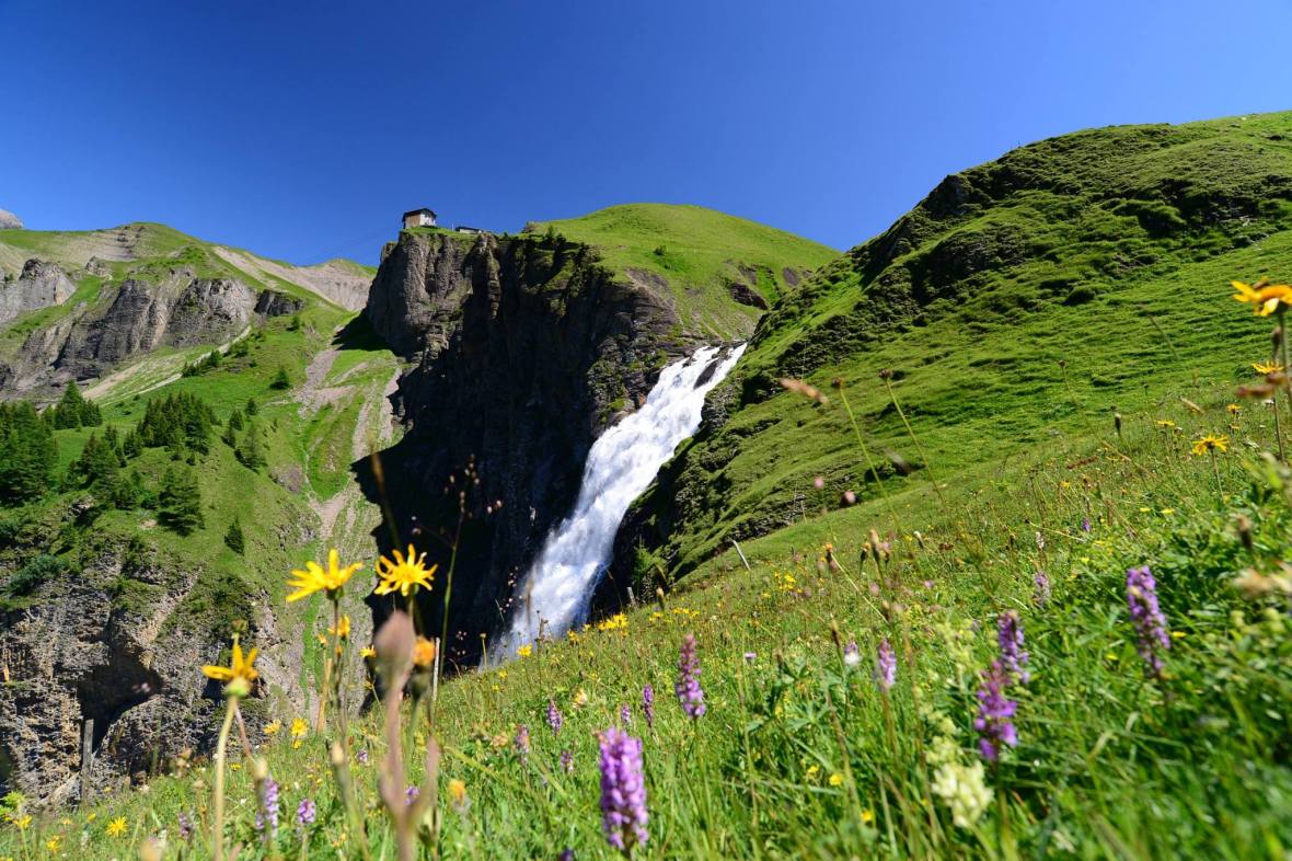 16300152_1729521620710162_8392573634288434022_o