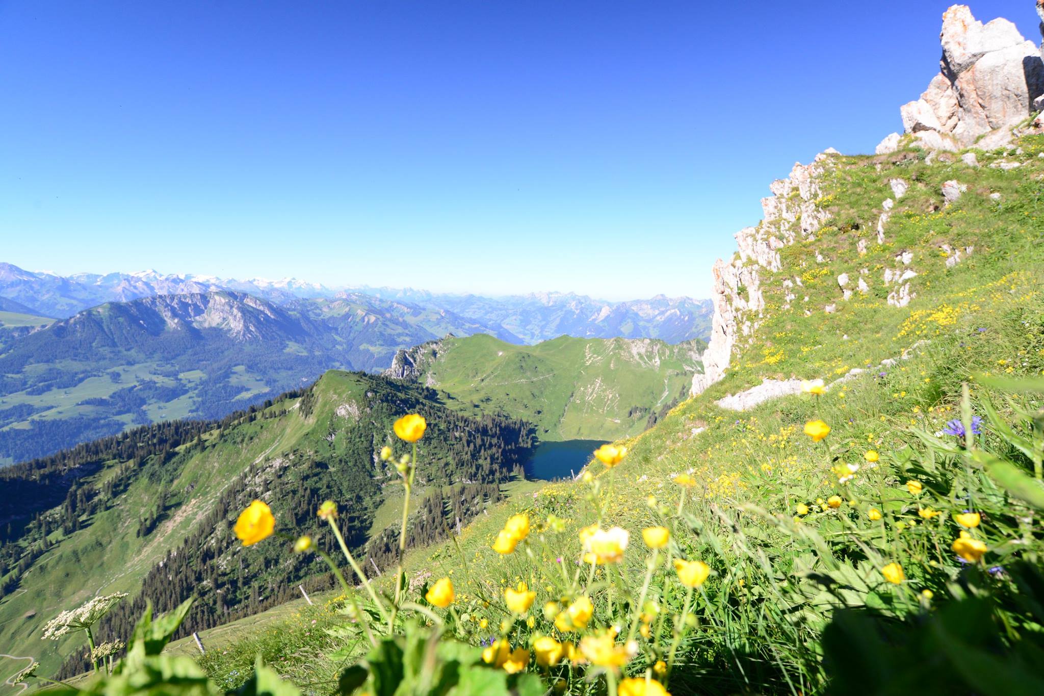 16300192_1729125450749779_8854848217105302321_o