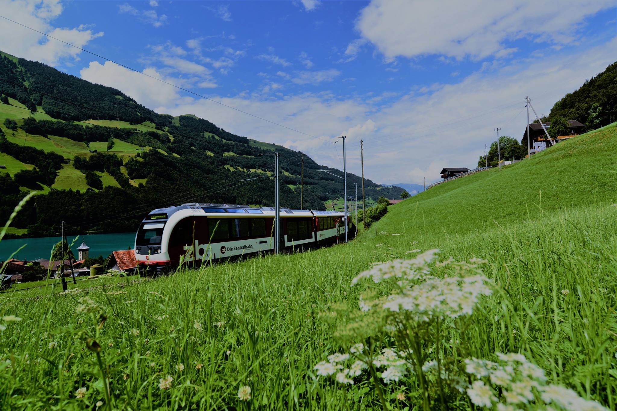 16403331_1730739743921683_1945226204459292395_o