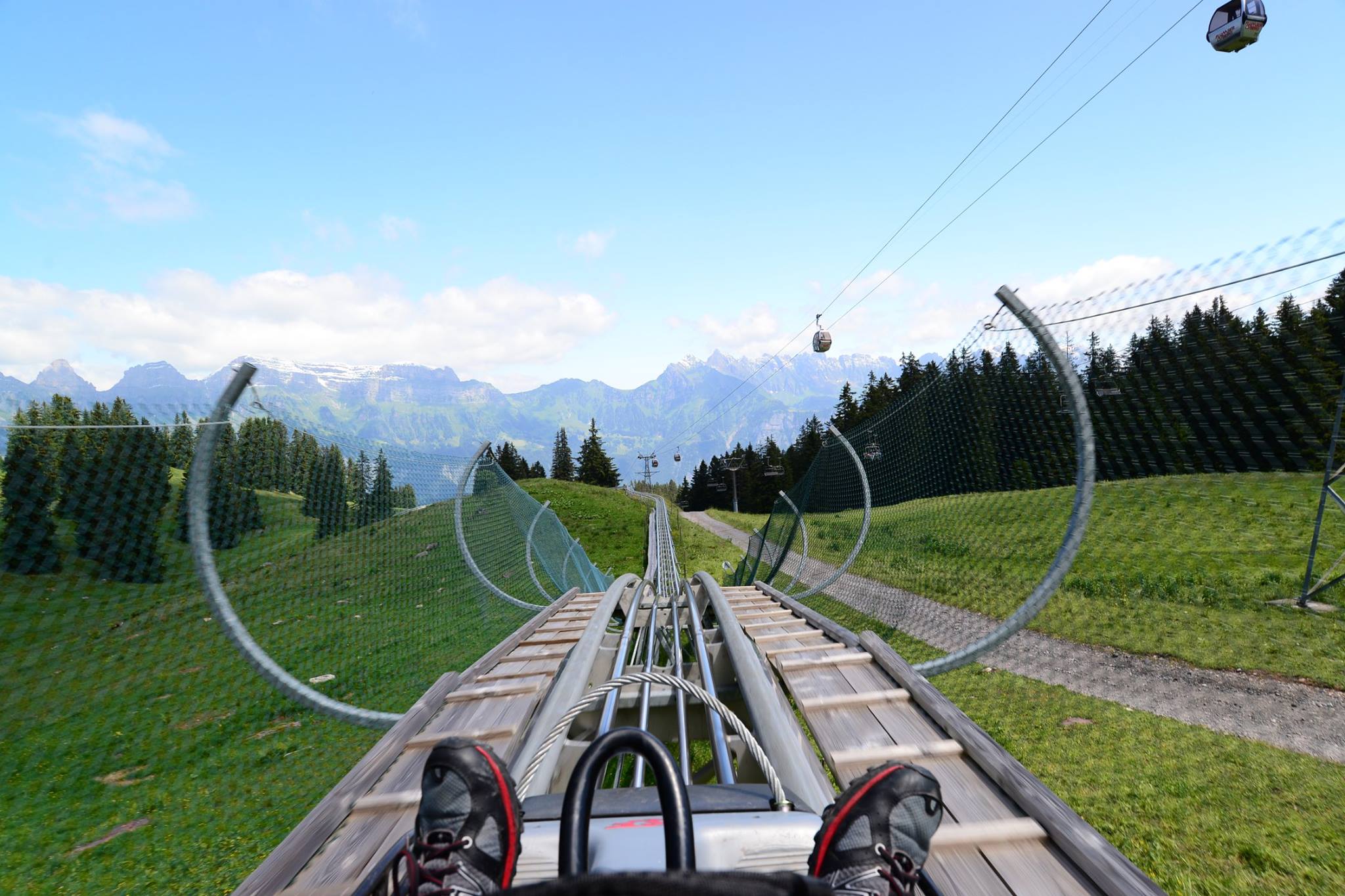 16422257_1731839740478350_7947451420443159002_o