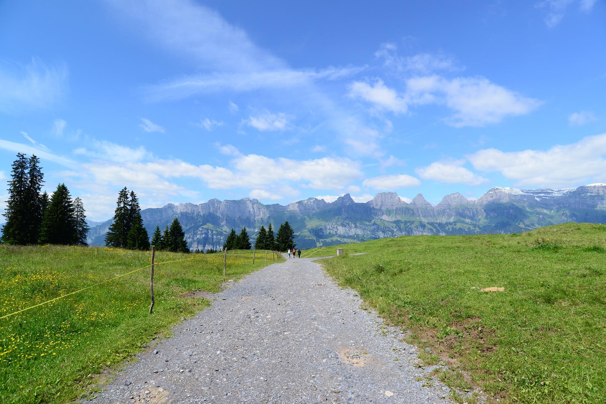 16422491_1731839917144999_6146099155993432778_o