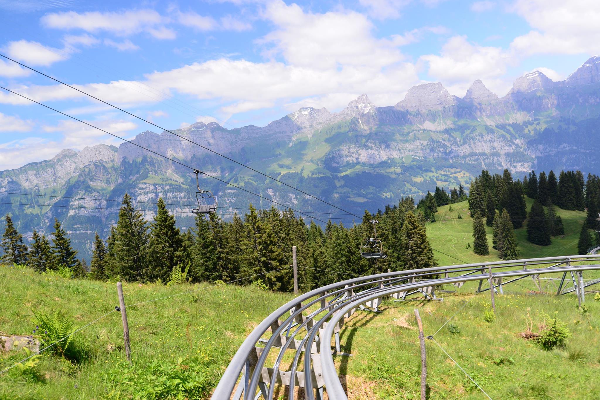 16422542_1731839767145014_3209048169104139879_o