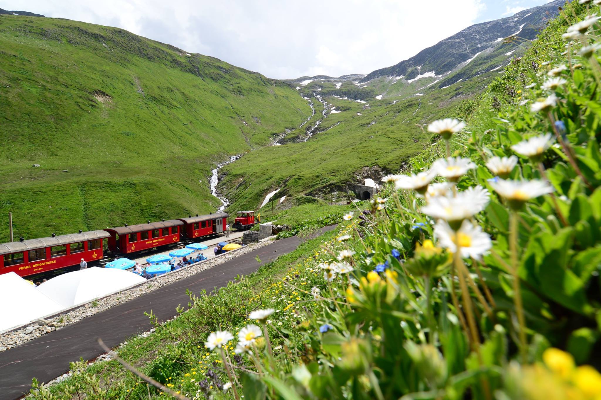 16422620_1730739540588370_516095284458303751_o