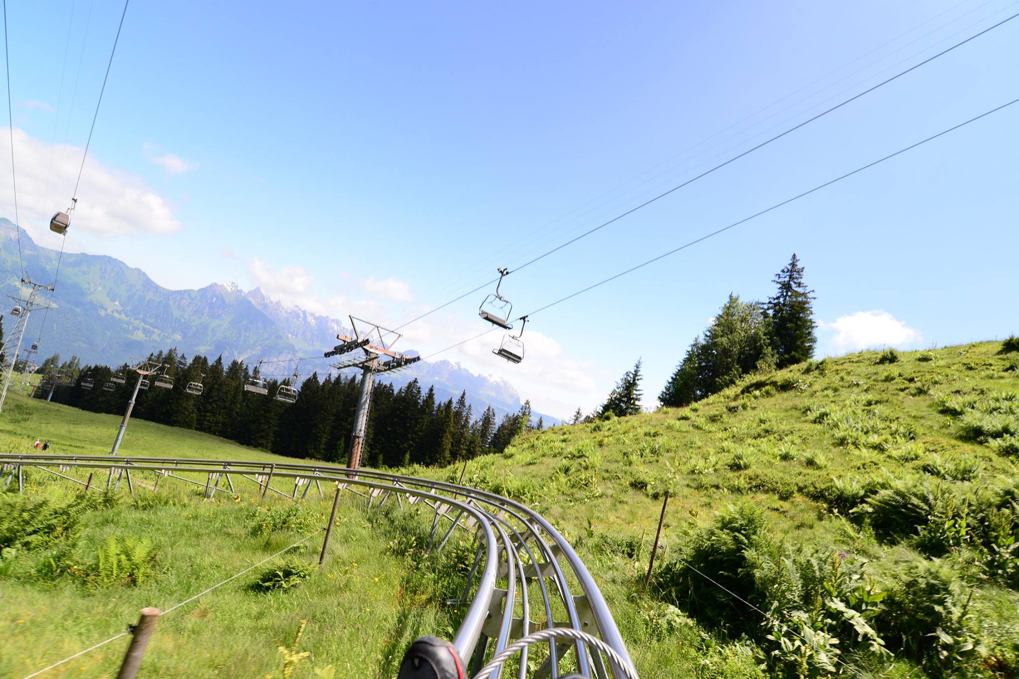 16422855_1731839697145021_842396535954285830_o