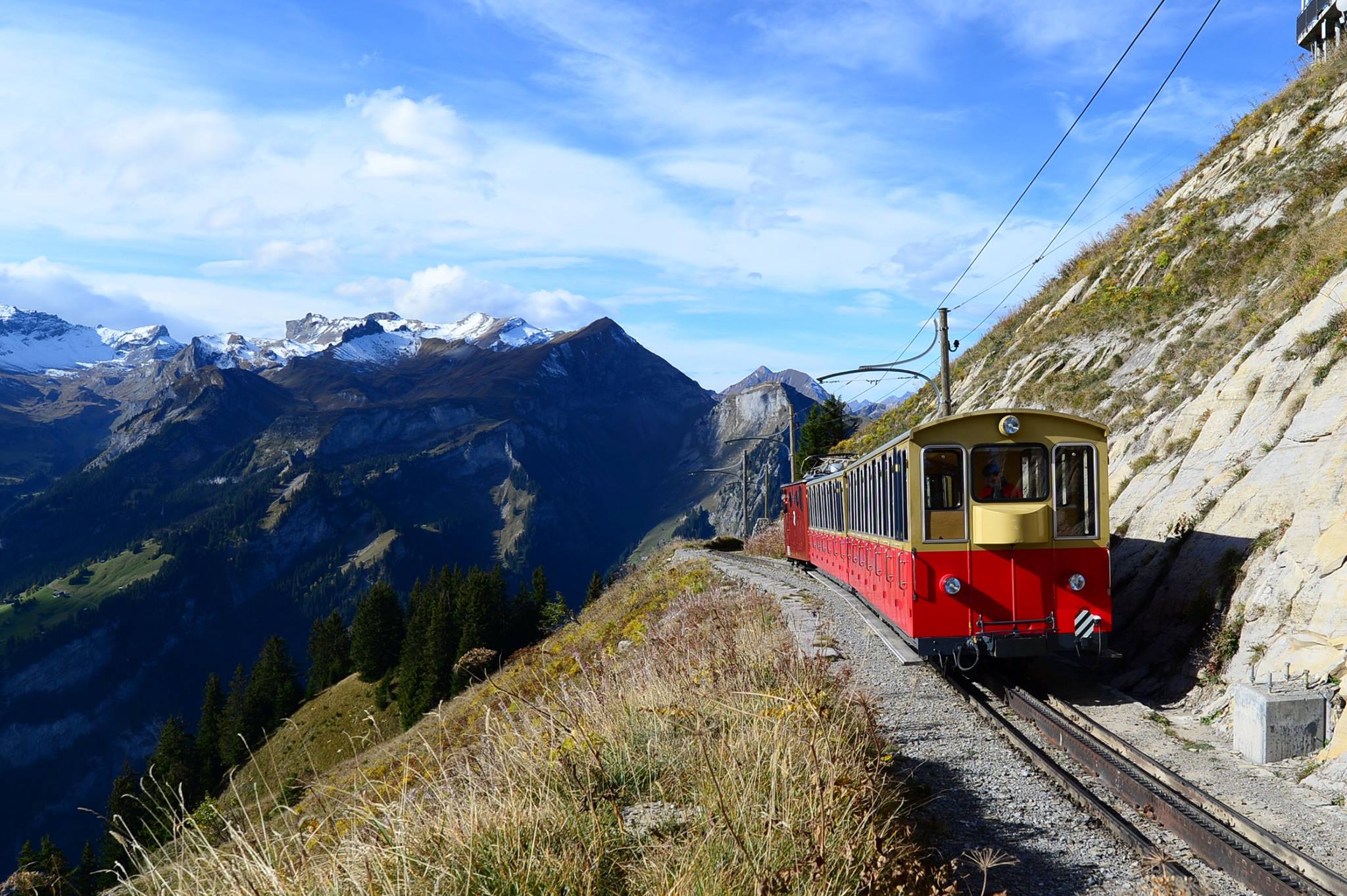 16423163_1730739660588358_3764629078545834087_o