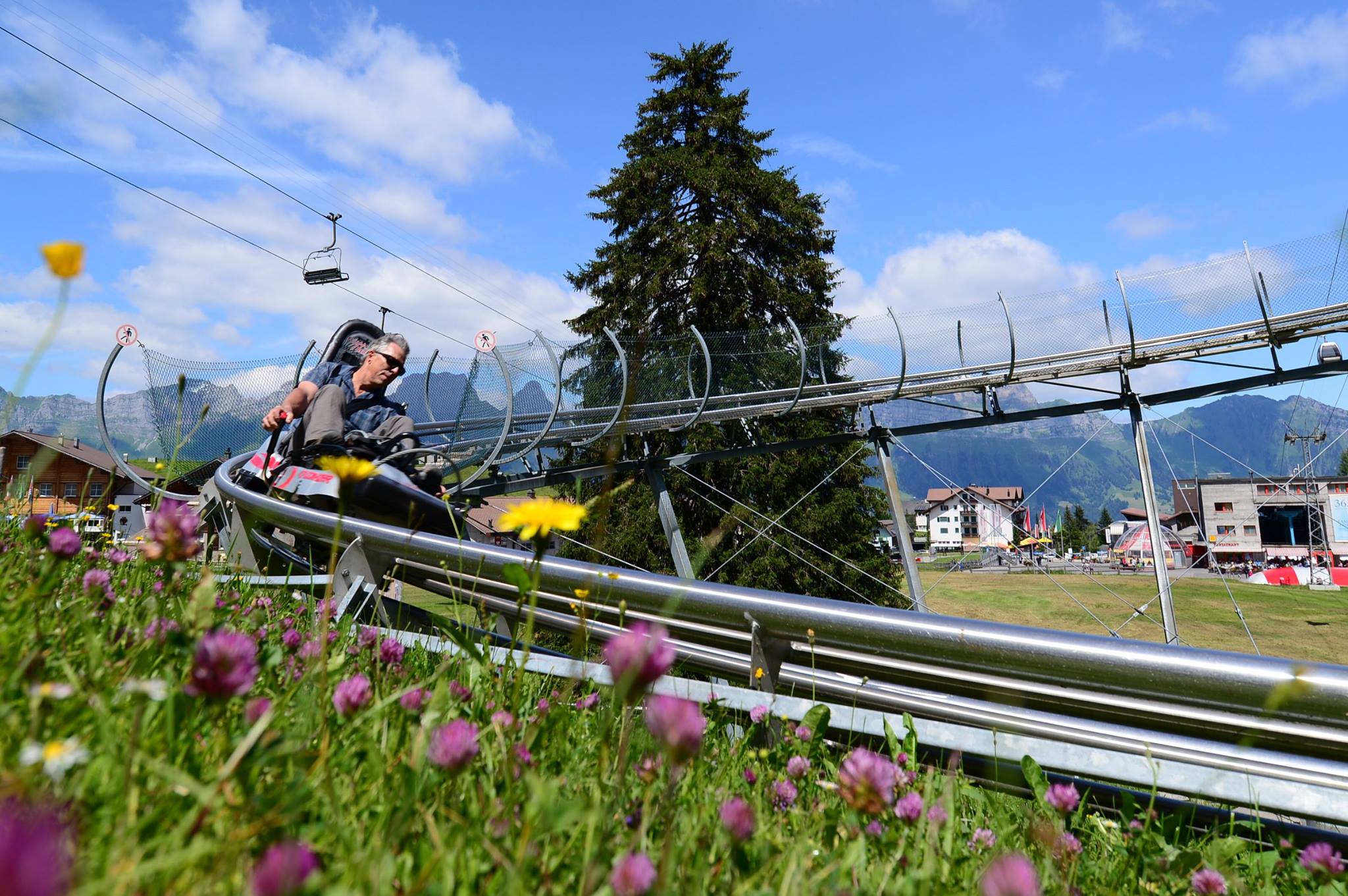 16463490_1731839960478328_5634862097180634063_o