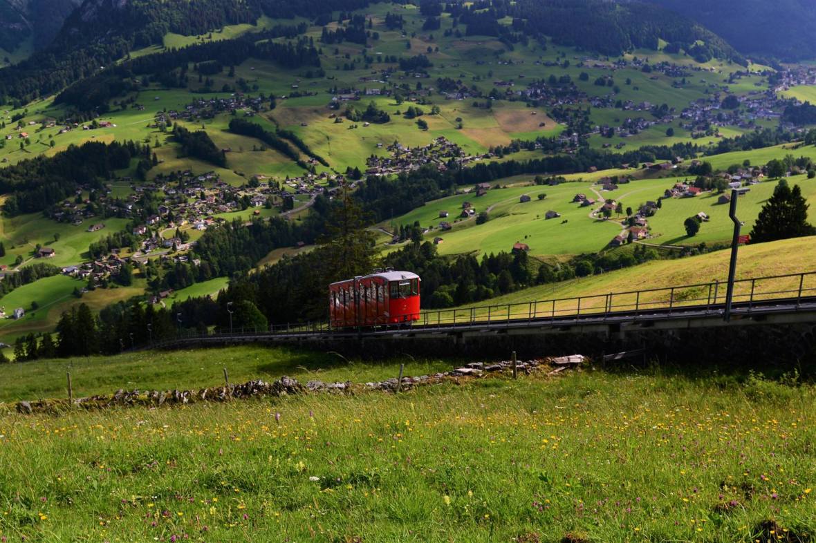 19402265_1811619525833704_692884223528284460_o