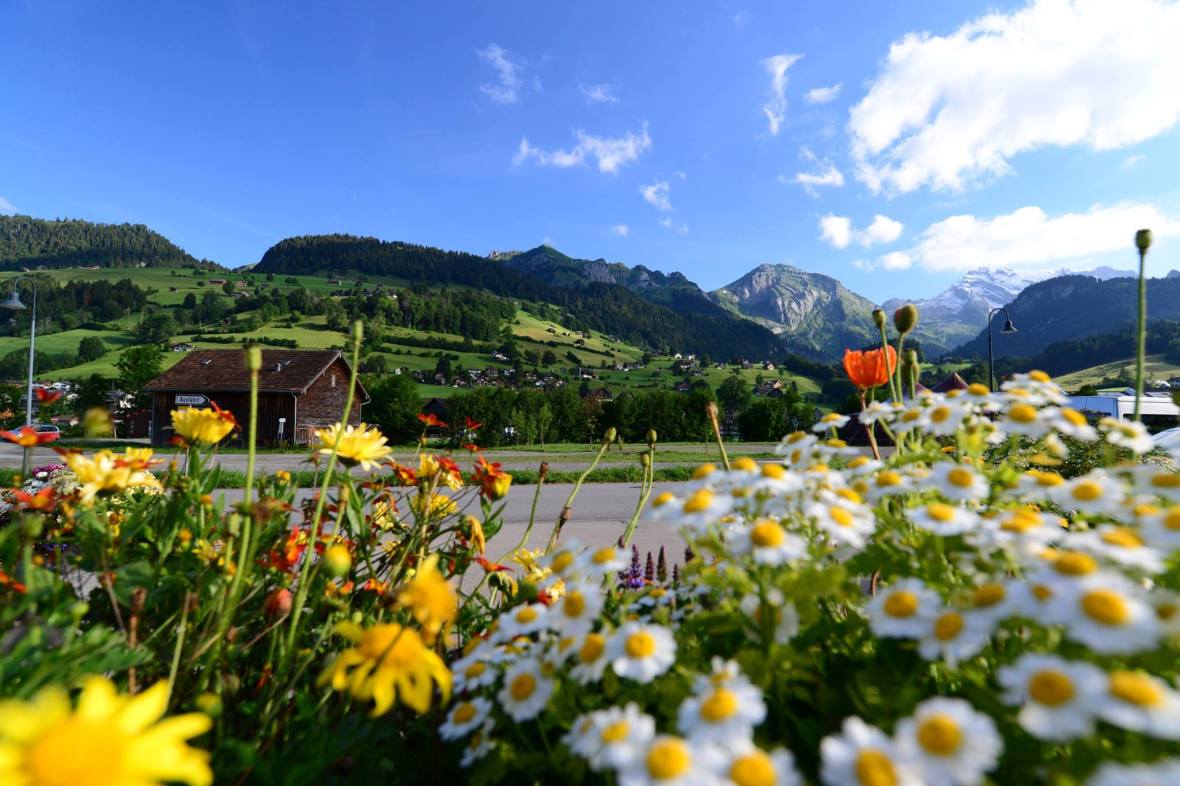 19466286_1811619452500378_7675473661027391661_o