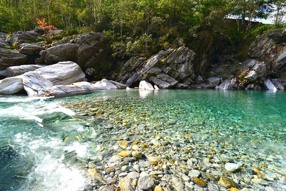 nw7xwudr7cm4lpywnqd-o