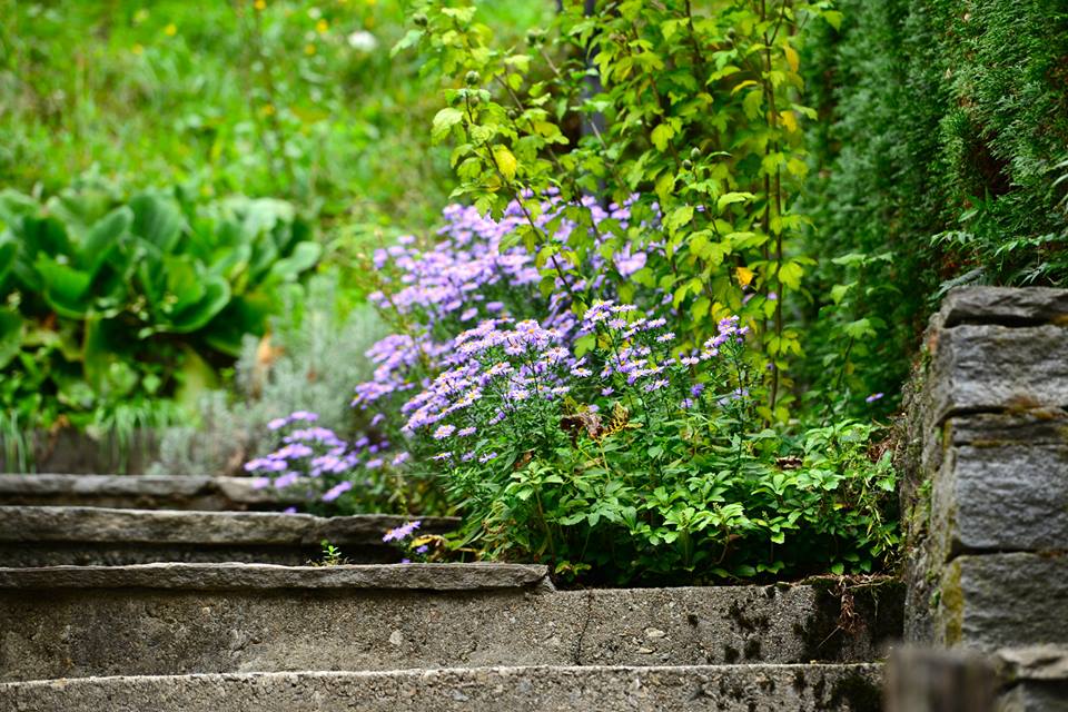 nw7yajhqa1ibr9jt7xf-o