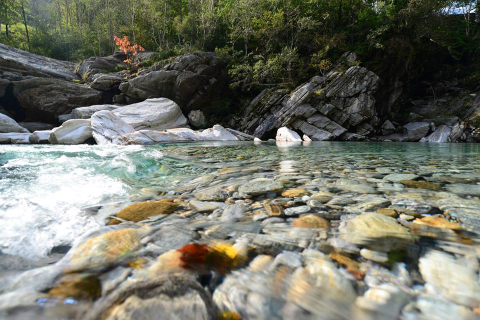 nw81iqgh2qtlb8r4xp7-o