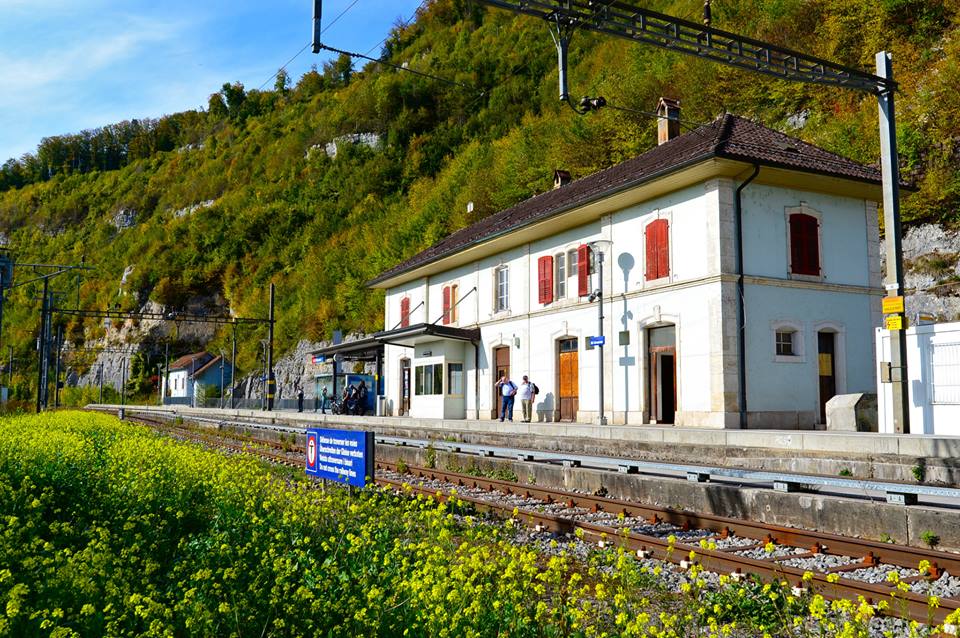 nx6fws13xt449xdxeod-o